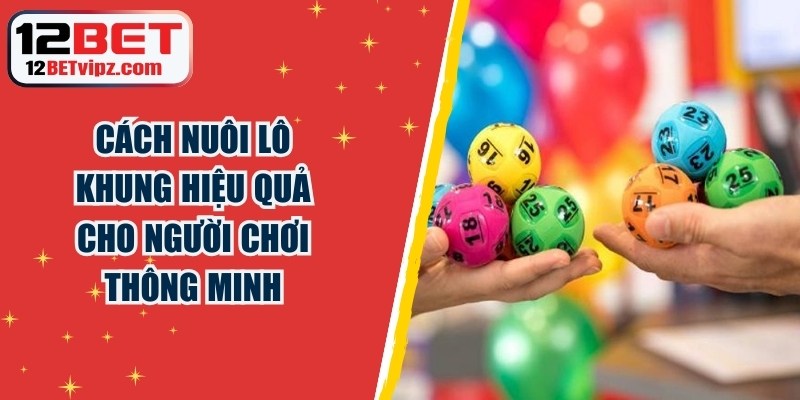 Cách Nuôi Lô Khung Hiệu Quả Cho Người Chơi Thông Minh 1 Cách Nuôi Lô Khung